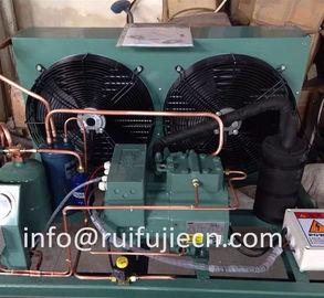 Beli Unit - Spb09kl Bitzer Air Cooled Condenser Unit untuk Model 4Tes-9y online manufacture