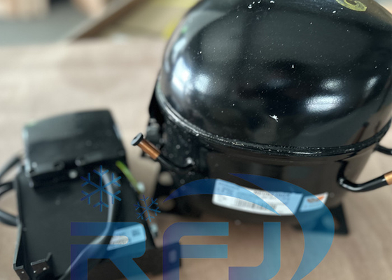 Beli EMS6170Z Kompresor pendingin R134a 220~240V-1-50Hz 1 Fase online manufacture
