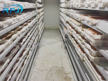Beli Pelempar Teras Tuna Kecil Ledakan Berjalan Di Freezer Industrial Seafood Iqf Cold Contact Panel online manufacture