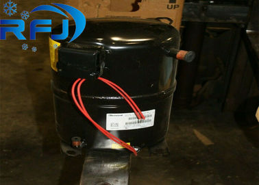 Beli Lemari Es Bahan Industri Solid 10.5btu / wh EER / COP Garansi Lama online manufacture